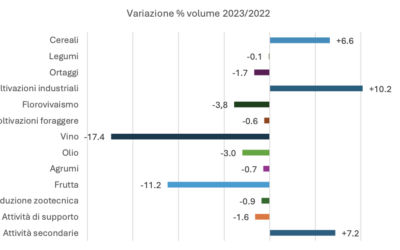 Andamento dell’economia agricola 2023