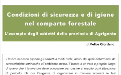 Condizioni di sicurezza e di igiene nel comparto forestale
