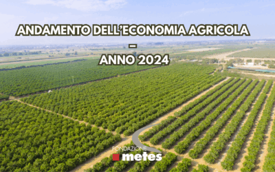 ANDAMENTO DELL’ECONOMIA AGRICOLA – ANNO 2024