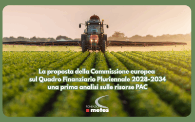 La proposta della Commissione europea sul Quadro Finanziario Pluriennale 2028-2034: una prima analisi sulle risorse PAC
