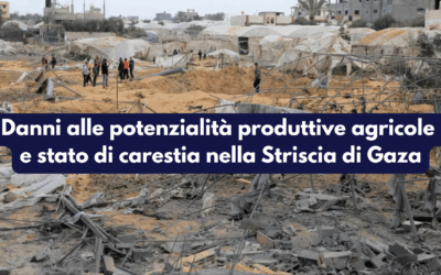Nota su Danni alle potenzialità produttive agricole e stato di carestia nella Striscia di Gaza