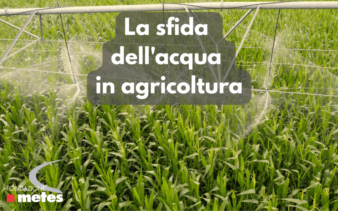 Nota su La sfida dell’acqua in agricoltura