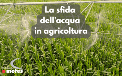 Nota su La sfida dell’acqua in agricoltura