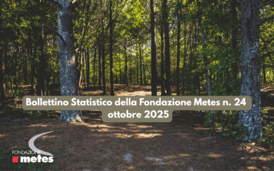 Bollettino Statistico della Fondazione Metes n. 24 – ottobre 2025