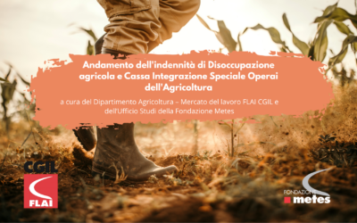 Nota Andamento dell’indennità di Disoccupazione agricola e Cassa Integrazione Speciale Operai dell’Agricoltura (2024)