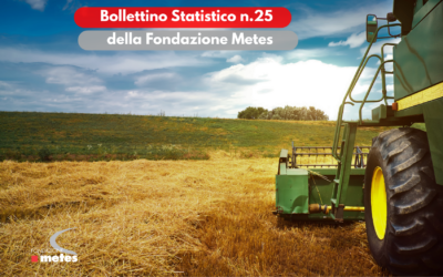 Bollettino Statistico della Fondazione Metes n. 25 – Dicembre 2025